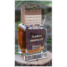 alienor Ambre essentiel